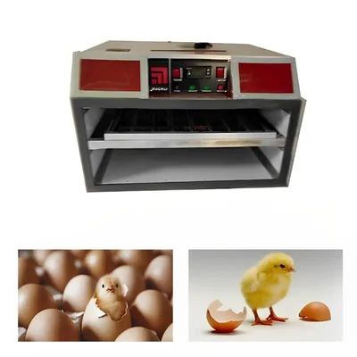 60 Eggs Automatic Hatching Incubator 150W
